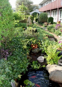 Garden View Area