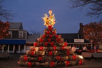 Lobster Pot Christmas Tree in Provincetown