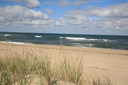 Beach Grass and Dune